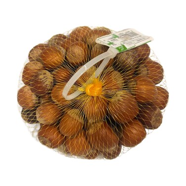 تركيا البندق في شل