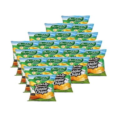 Al Badia Potato Chips Salt And Vinegar 16g x Pack of 20