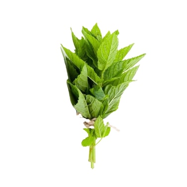 نعناع عضوي من أجريكو