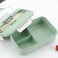 Eazy Kids Bento Meal Box - Green (1000ml)