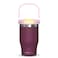 Eazy Kids Vacuum Insulated Tumbler w/ handle, 500ml Purple