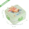 Nova Kids Stainless Steel 3 Compartment Bento Lunch Box w/ Spoon and  Sauce Box - Reindeer Green