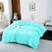 STARGOLD Double Ply Royal Luxury Blanket 100% Polyester Suitable Winter And Rainy Season 160X220CM 7LB