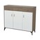 Multi-purpose shoe cabinet, 3 doors, brown + white, 120 x 35 x 100 cm
