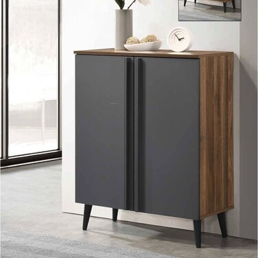 Multi-purpose shoe rack with 2 doors