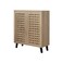 Multi-purpose shoe cabinet, 2 doors, beige, 91 x 34 x 80 cm