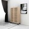 Multi-purpose shoe cabinet, 2 doors, beige, 132 x 34 x 80 cm