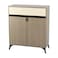 Multi-purpose shoe cabinet, 2 doors, 80 x 33 x 95 cm