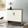 Multi-purpose shoe cabinet, brown-beige, 2 doors, 94x32x80 cm