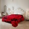 STARGOLD Double Ply Raschel Premium Quality Blanket 200X240CM 6KG, SG-BL2062