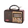 STARGOLD Portable Multifunction Radio, FM/AM/SW Radio, Powerful Speaker, USB/TF Music Player, Bluetooth TWS Connect, 2000mAh Big Battery SG-GR2042