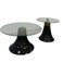 2-piece coffee table set with glass top