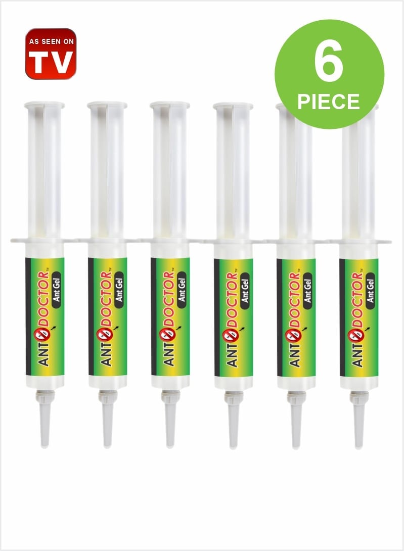 Ant Injection Buy Powerful Ant Killer Gel - Ant Doctor Injection Solution, 10g Pack ...