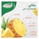 قودي شرائح اناناس 567 جرام