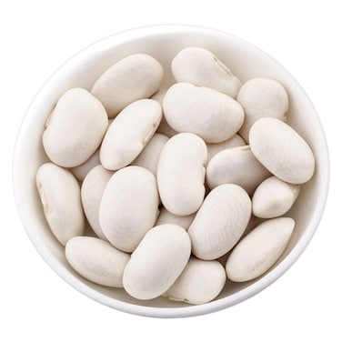 فول أبيض صغير