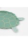 Meri Meri Turtle Plates