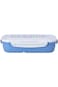 Royalford Air Tight Lunch Box Blue, Multi
