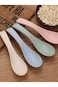 Cuisine Art Set of 4 Wheat Straw Spoons, Reusable Soup Cereal Spoon, Unbreakable Dinner Spoon, Port