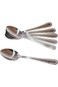 Hoffmayer Stainless Steel Spoon, 20 cm, 6 Pieces, Silver