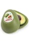PlasticForte - Avocado storage container/fresh container/fresh holder/storage box - green