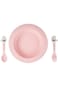 Shallow BD-WS-10(Pink) Wheat Straw Tableware Set- Plate Spoon Fork-Pink