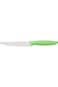 Tramontina Plenus 5 Inches Fruit Knife with Stainless Steel Blade and Green Polypropylene Handle