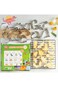 Azonee 12 Pcs Dinosaur Cookie Cutters, Footprint, Dinosaur Eggs, Brontosaurus, Camarasaurus, Stegos