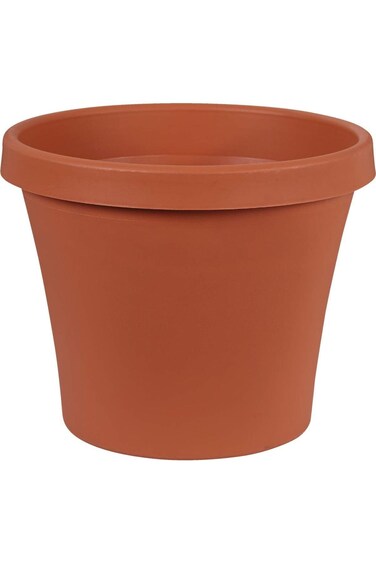 بلوم تيرابوت تراكوت 12 بوصة