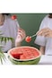 KASTWAVE Stainless Steel Watermelon Slicer, Cube Cutter Corer Fruit Vegetable Tools, Quickly Safe C