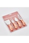 AMGREEN Easy Chef 4-Piece Cheese Knife and Cutter Set 14x3x2.5 cm