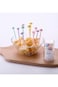 Excefore Plastic Toothpicks Set, 40 PCS Food Fruit Fork, Cute Animals Fork, Mini Cake Fork, Animals