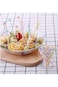 Excefore Plastic Toothpicks Set, 40 PCS Food Fruit Fork, Cute Animals Fork, Mini Cake Fork, Animals