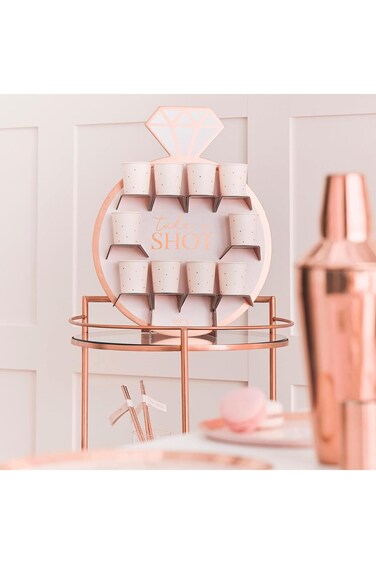 مشروبات حفل توديع العزوبية جينجر راي روز جولد