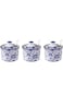 ABIN 3 Pack Ceramic Spice Jar with Lid and Spoon, Blue and White Salt Bowl Salt Container, Modern S