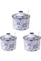 ABIN 3 Pack Ceramic Spice Jar with Lid and Spoon, Blue and White Salt Bowl Salt Container, Modern S