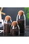 Glass Jar with Ball Cork Lid, 3 Pack Glass Canister with Wood Lid, Glass Food Storage Jars, Glass J