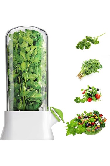 حافظة أعشاب RAXINJS للثلاجة، كبسولة لحفظ الأعشاب، زجاجة لحفظ الخضراوات، لحفظ الأعشاب الطازجة