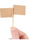 KASTWAVE Toothpick Flags, 200 Pcs Kraft Checkered Toothpick Flags Brown Mini Food Labels Flags for