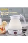 DENX 500W Portable Folding Electric Kettle, Capacity 600ml, Fast Boiling, Dual Voltage (110-220V),
