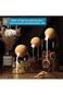 TAPIT Glass Jar with Ball Cork Lid, Glass Canister with Wood Lid, Storage Container Jars for Coffee