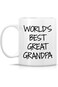 Retreez Funny Mug - World's Best Great Grandpa 11 Oz Ceramic Coffee Mugs - Funny, Motivational, Ins