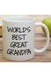 Retreez Funny Mug - World's Best Great Grandpa 11 Oz Ceramic Coffee Mugs - Funny, Motivational, Ins