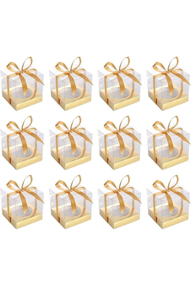 Chanskyu 12 Pack Individual Cupcake Containers, Transparent Single Clear Cupcake Carrier Holder Box