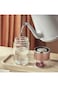 Goodern 350ML Tea Infuser Bottle Glass,Double Wall Glass Travel Mug with Stainless Steel Filter Lea