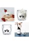 NALACAL 1 x Double Wall Glass Bear Cup, Double Walled Coffee Cup, Cute, Double-Walled Glass Mug, In