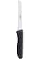 Godrej Locking Solutions and Systems Cartini Vegetable Knife,Stainless Steel, Size-21.5cm-Colour -B