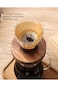 AsgenoX V60 Cone Paper Coffee Filters 40pcs 02 Brown Natural Coffee Filter V-shaped Unbleached Filt