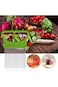 KASTWAVE Kitchen Cutting Tools Slicer Tomato Onion Vegetables Slicer Cutting Aid Holder Guide Slici