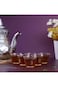 Royalford Thick Wall Glass Coffee Cups 6Pcs, Insulated Walled Glasses Heat Resistant Cappuccina Lat