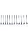 Suncraft Fork Tea Set 12Pc Ss Ncf284Stf